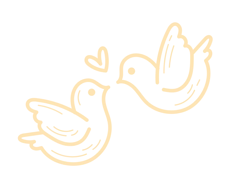 image of duck