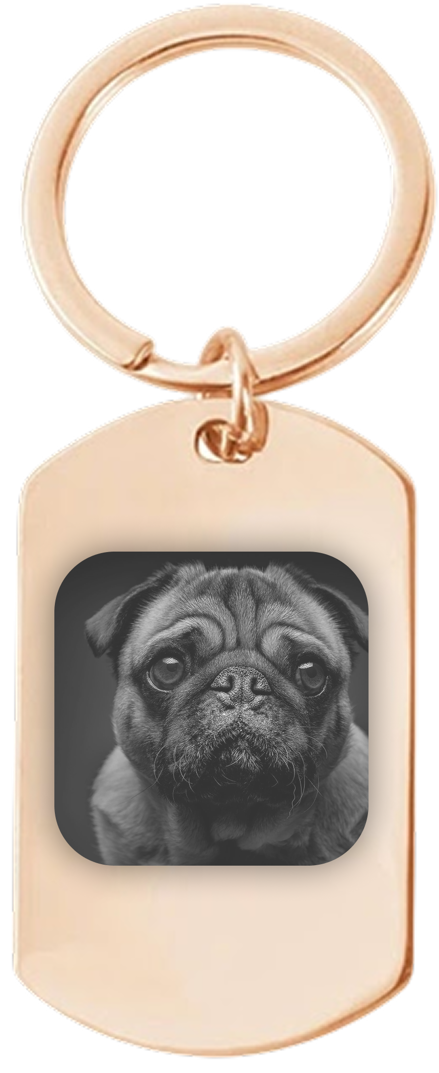 image of dog