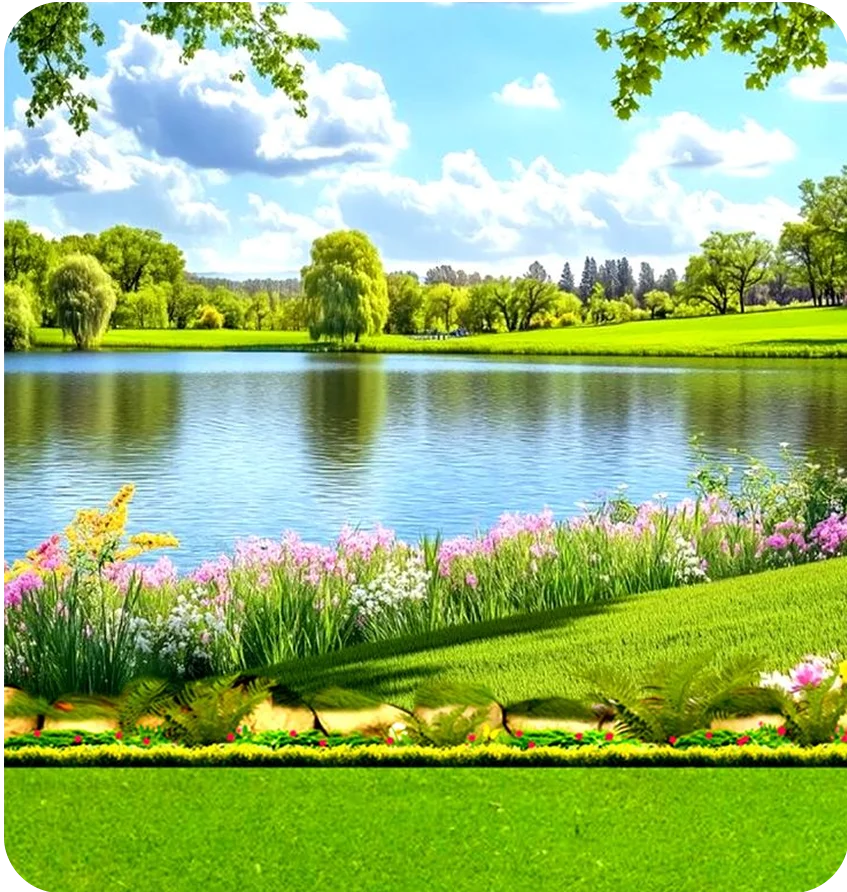 weeping-willow-image